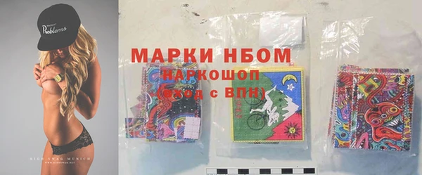 прущие грибы Бородино