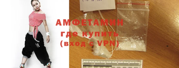 прущие грибы Бородино
