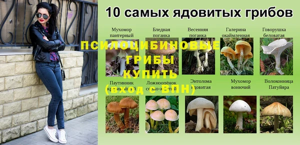дмт Бугульма