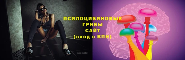 прущие грибы Бородино
