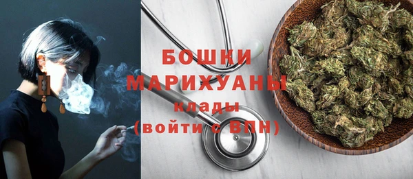 прущие грибы Бородино