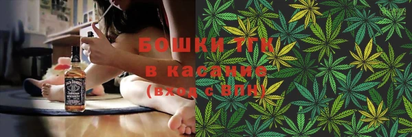молекула духа Бронницы