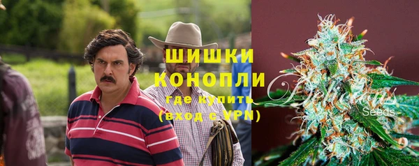 молекула духа Бронницы