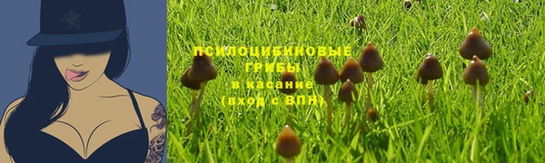 дмт Бугульма