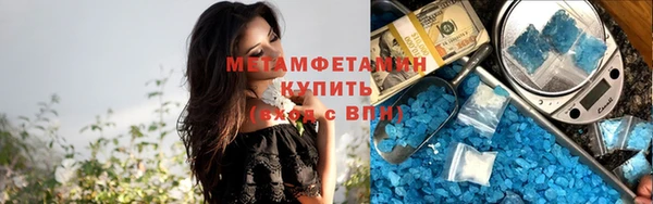 прущие грибы Бородино