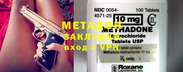 прущие грибы Бородино
