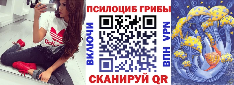мориарти Telegram где купить наркотик Верхняя Тура Псилоцибиновые грибы GOLDEN TEACHER гидра